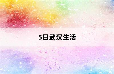 5日武汉生活