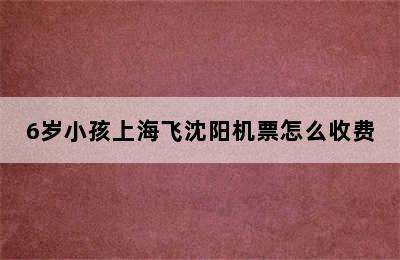 6岁小孩上海飞沈阳机票怎么收费