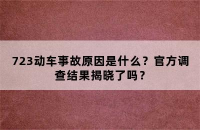 723动车事故原因是什么？官方调查结果揭晓了吗？