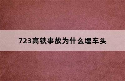 723高铁事故为什么埋车头