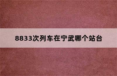 8833次列车在宁武哪个站台