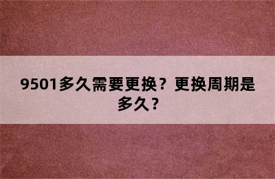 9501多久需要更换？更换周期是多久？