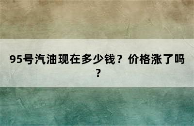 95号汽油现在多少钱？价格涨了吗？