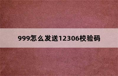 999怎么发送12306校验码