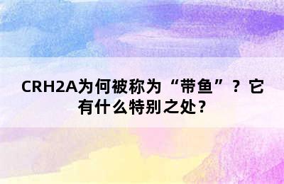 CRH2A为何被称为“带鱼”？它有什么特别之处？