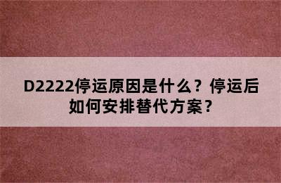 D2222停运原因是什么？停运后如何安排替代方案？