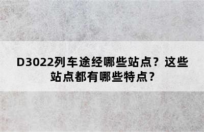 D3022列车途经哪些站点？这些站点都有哪些特点？