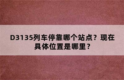 D3135列车停靠哪个站点？现在具体位置是哪里？