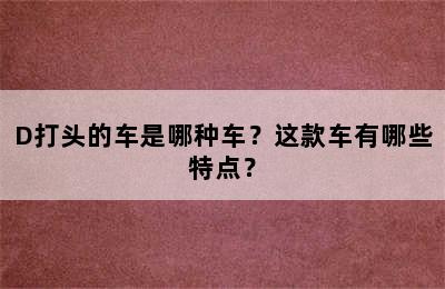 D打头的车是哪种车？这款车有哪些特点？