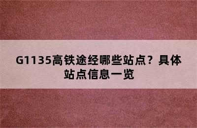 G1135高铁途经哪些站点？具体站点信息一览