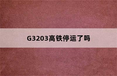 G3203高铁停运了吗