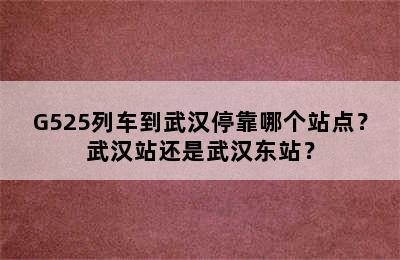 G525列车到武汉停靠哪个站点？武汉站还是武汉东站？