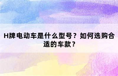 H牌电动车是什么型号？如何选购合适的车款？