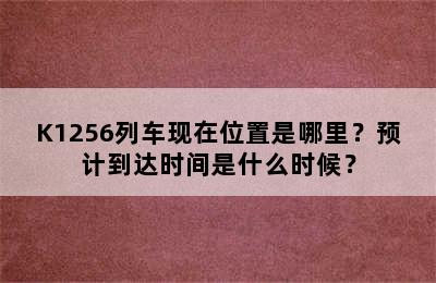 K1256列车现在位置是哪里？预计到达时间是什么时候？