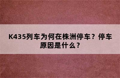 K435列车为何在株洲停车？停车原因是什么？