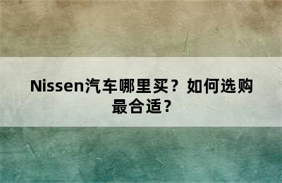 Nissen汽车哪里买？如何选购最合适？