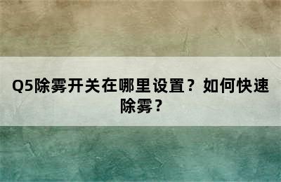 Q5除雾开关在哪里设置？如何快速除雾？