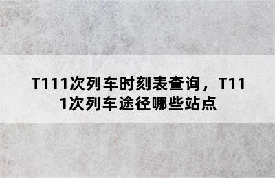 T111次列车时刻表查询，T111次列车途径哪些站点