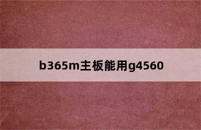 b365m主板能用g4560