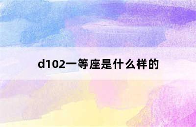 d102一等座是什么样的