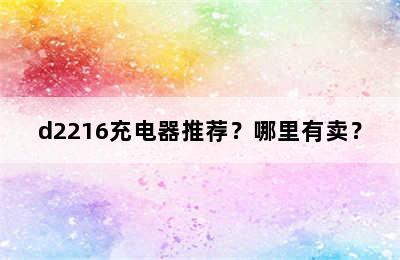 d2216充电器推荐？哪里有卖？