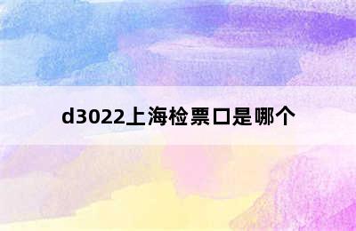 d3022上海检票口是哪个