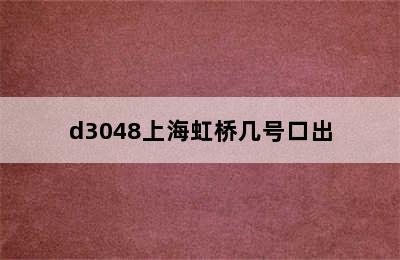 d3048上海虹桥几号口出