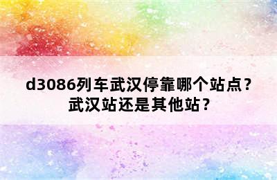 d3086列车武汉停靠哪个站点？武汉站还是其他站？