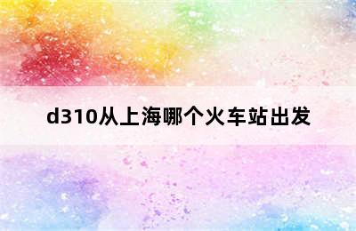 d310从上海哪个火车站出发