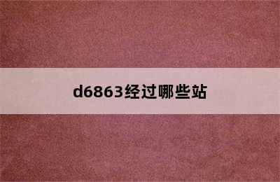 d6863经过哪些站