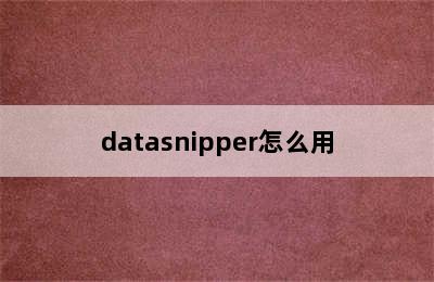 datasnipper怎么用