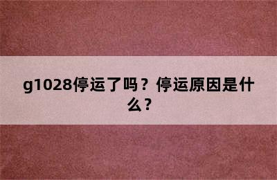 g1028停运了吗？停运原因是什么？