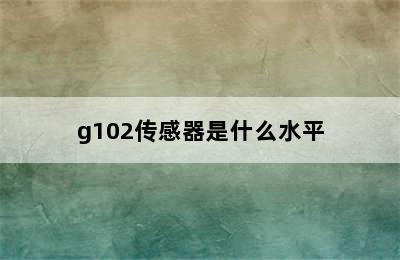 g102传感器是什么水平