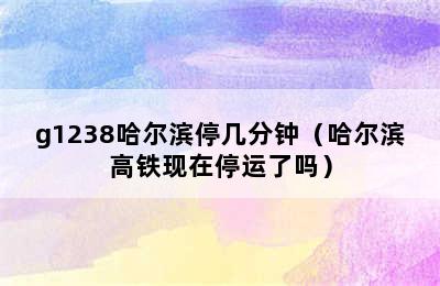 g1238哈尔滨停几分钟（哈尔滨高铁现在停运了吗）