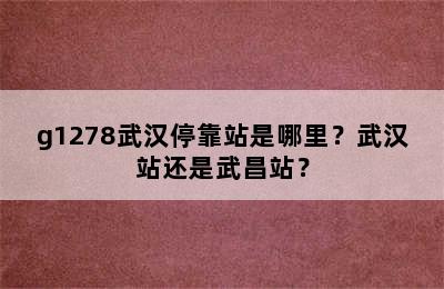 g1278武汉停靠站是哪里？武汉站还是武昌站？