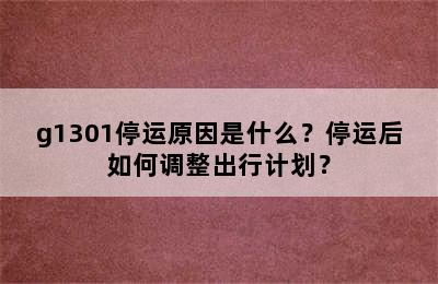 g1301停运原因是什么？停运后如何调整出行计划？