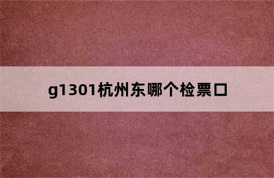 g1301杭州东哪个检票口