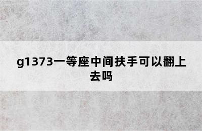 g1373一等座中间扶手可以翻上去吗