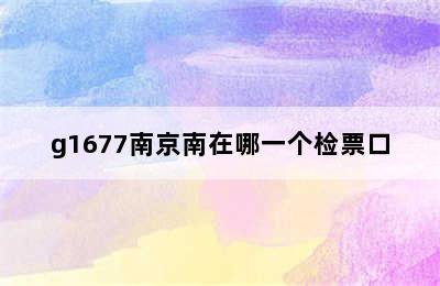 g1677南京南在哪一个检票口