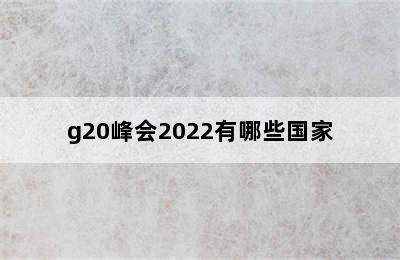 g20峰会2022有哪些国家