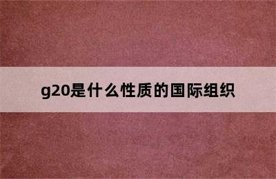 g20是什么性质的国际组织