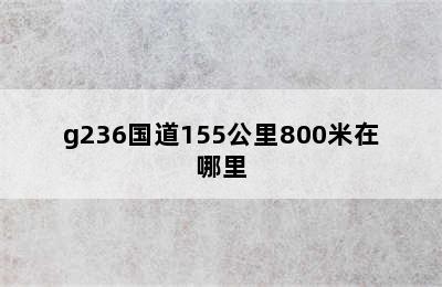 g236国道155公里800米在哪里