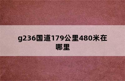 g236国道179公里480米在哪里