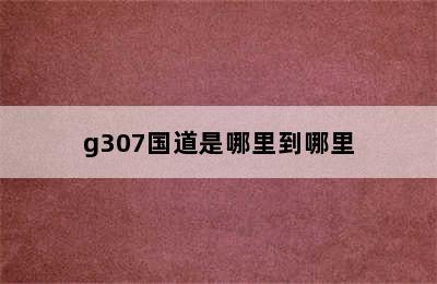 g307国道是哪里到哪里