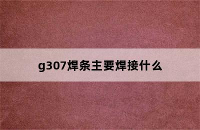 g307焊条主要焊接什么