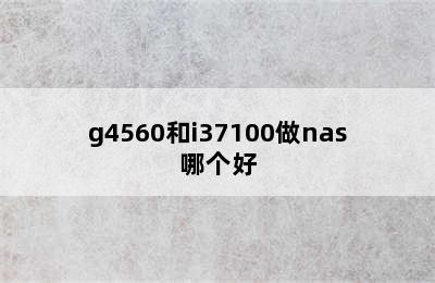 g4560和i37100做nas哪个好