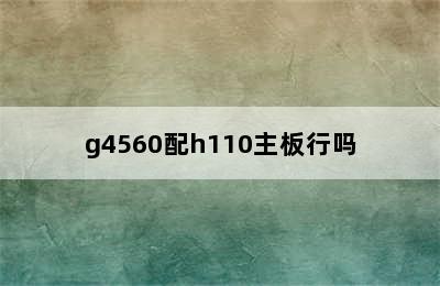 g4560配h110主板行吗