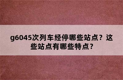 g6045次列车经停哪些站点？这些站点有哪些特点？