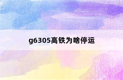 g6305高铁为啥停运