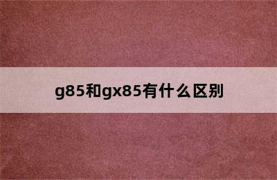 g85和gx85有什么区别